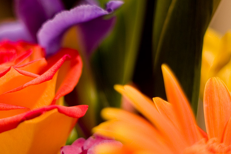 birthday flowers