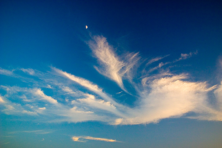 goleta moon