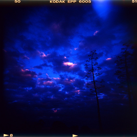 holga sunset