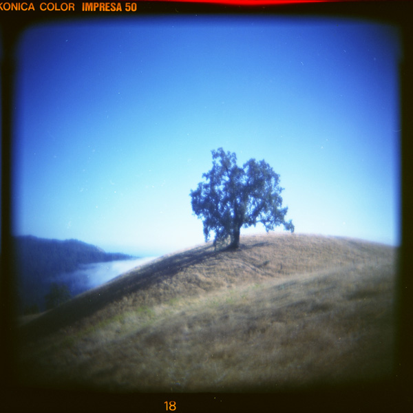 above the fog: holga version