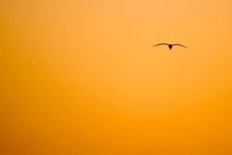 sunset flight