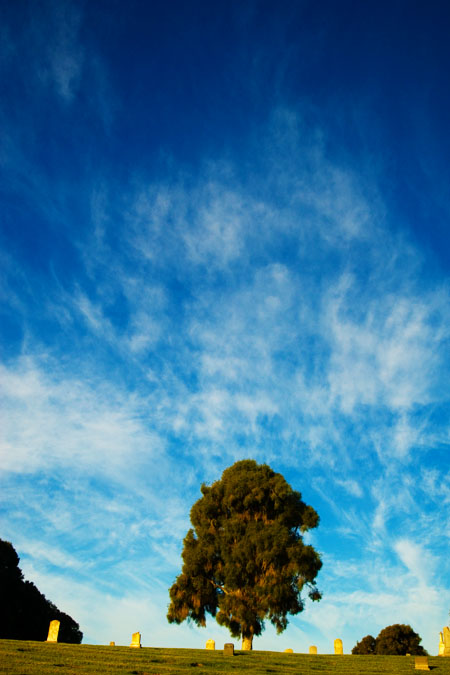 sunrise light, goleta cemetery