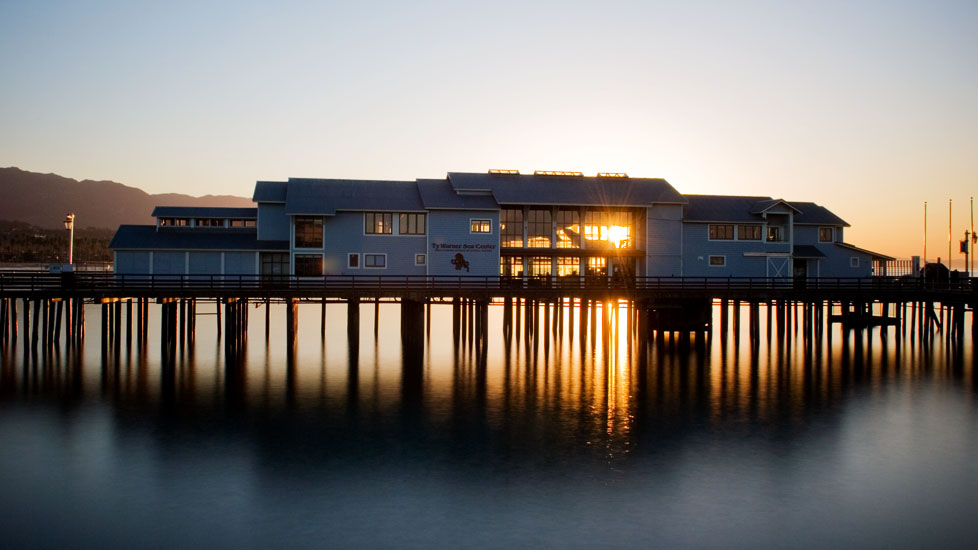 ty warner sea center at sunrise