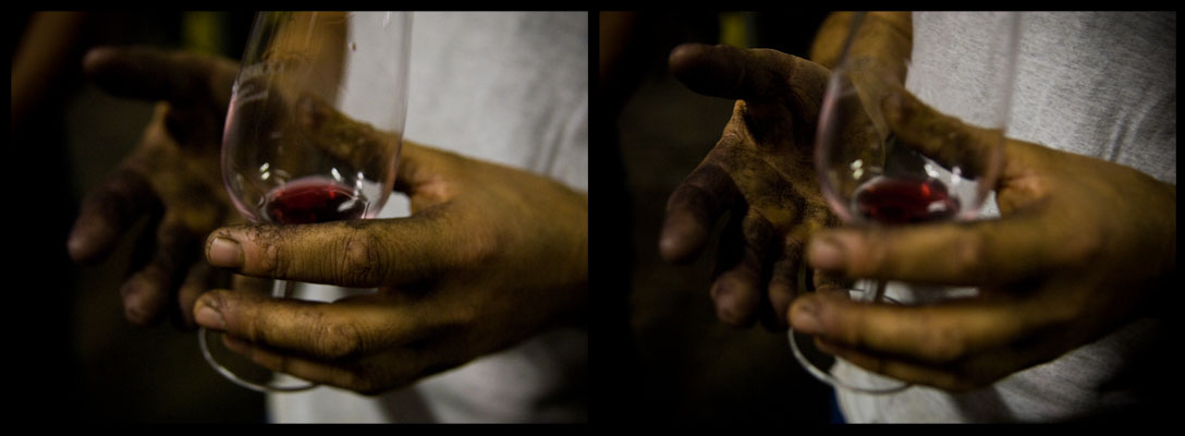 french winemaker's hands