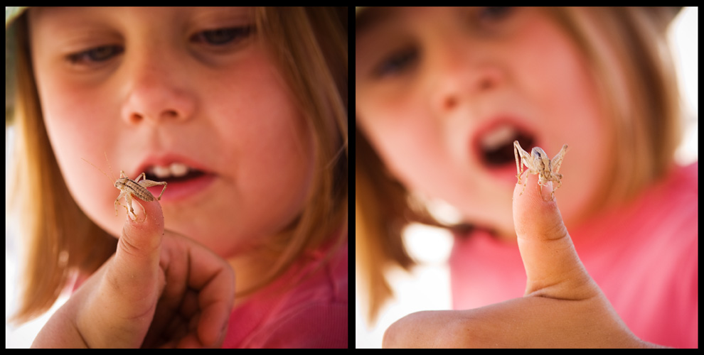 phoebe likes bugs!