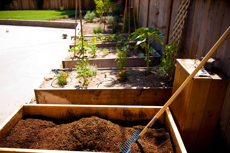 compost!