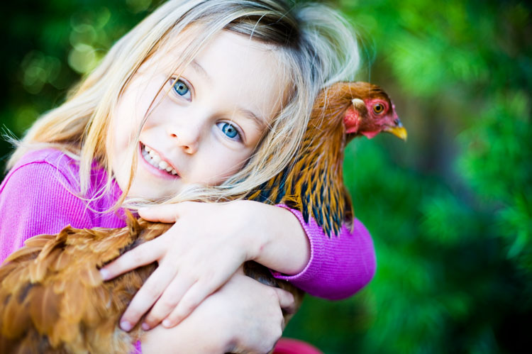 chicken snuggle