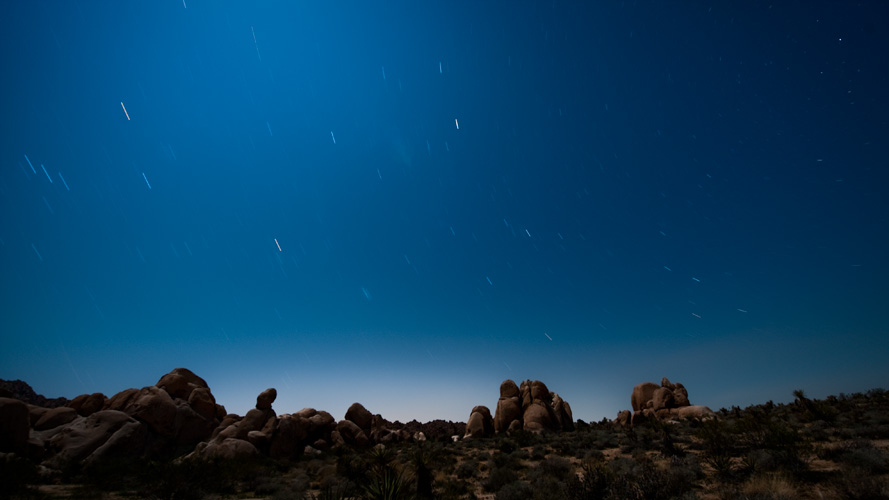 joshua tree at night