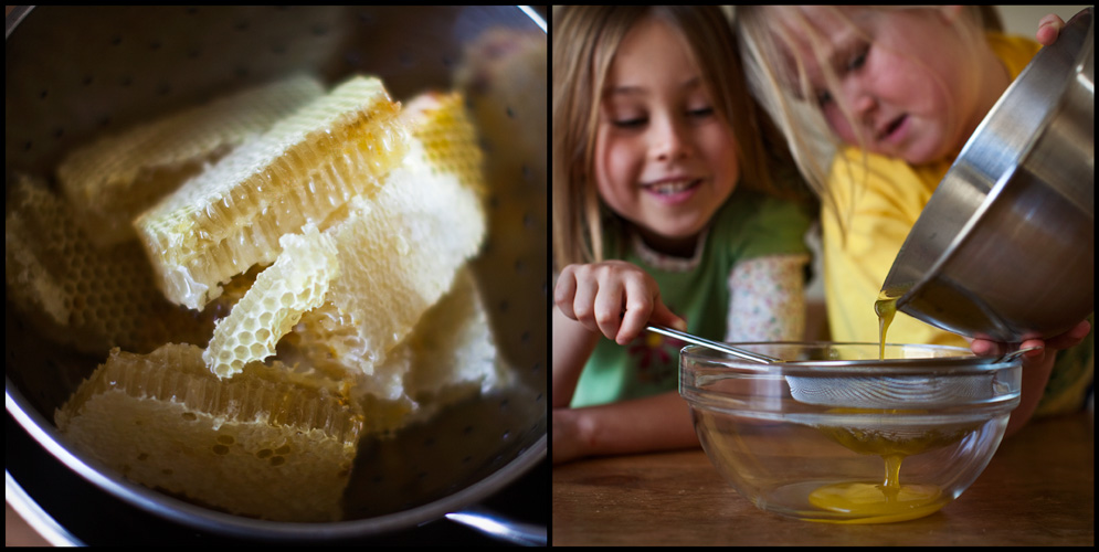 backyard honey harvest