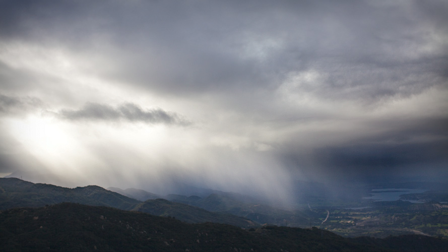 the gift of rain