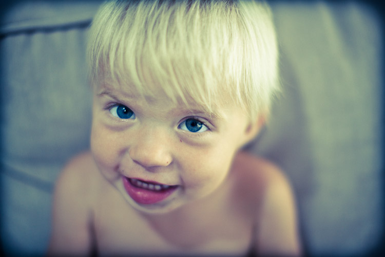 Levi on the sofa...