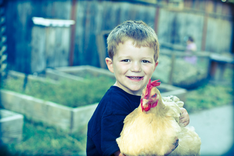 happiness is a pet chicken