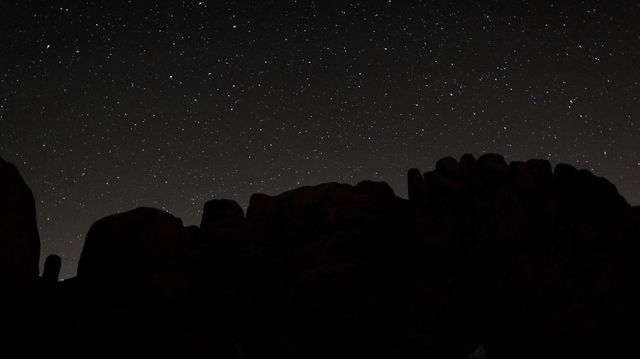 Joshua Tree stars