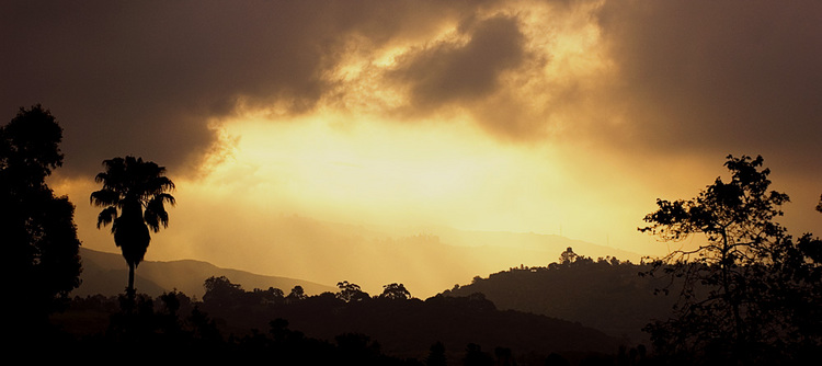 sunrise: carpinteria