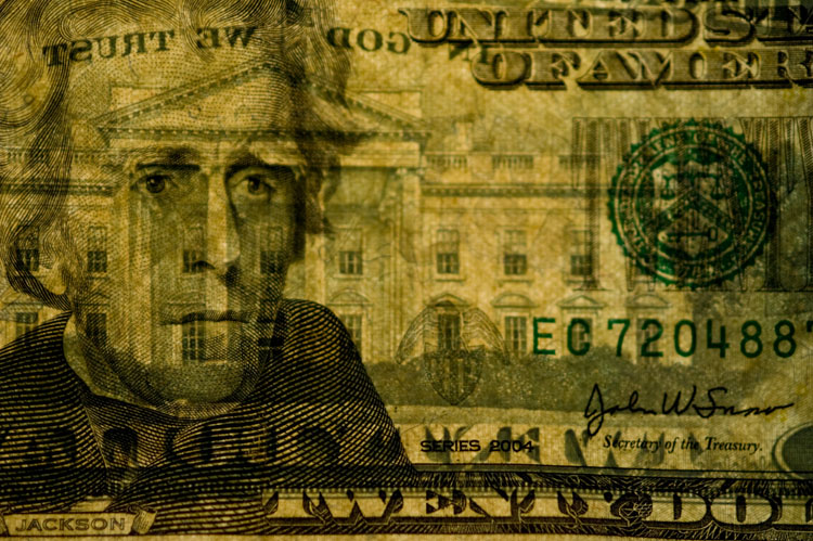 transparent currency: backlit 20
