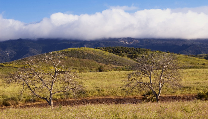 goleta, the good land.