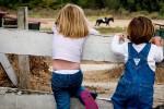 sisters and horses