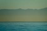 santa cruz island's fog belt