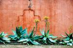 lotusland wall