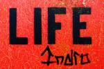 life translated