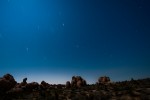 joshua tree at night