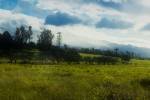 goleta