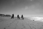 bros: sands beach, goleta