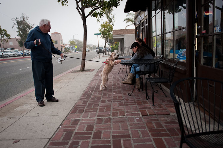 slideshow image