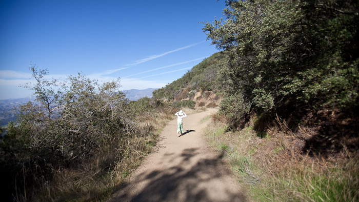 slideshow image