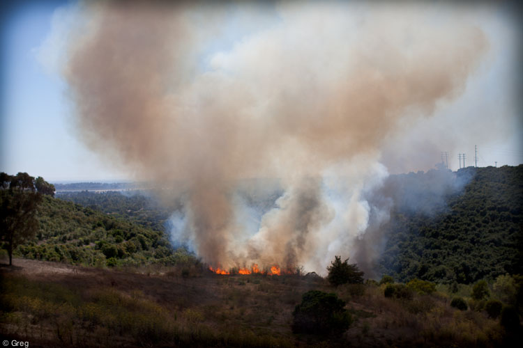 slideshow image