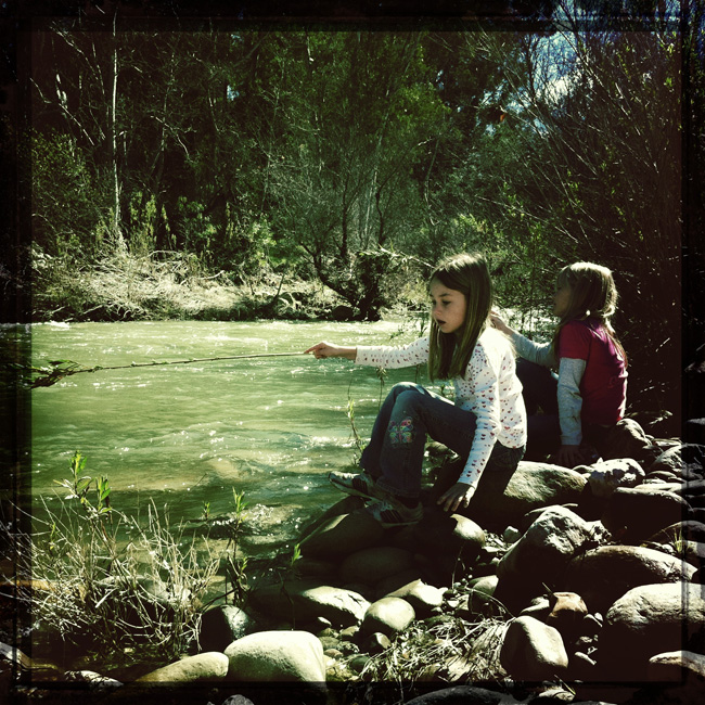 slideshow image