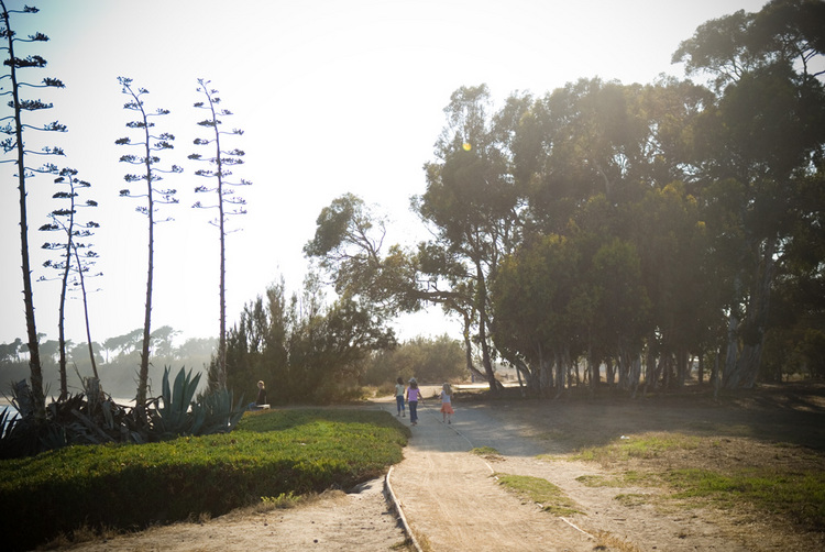 slideshow image