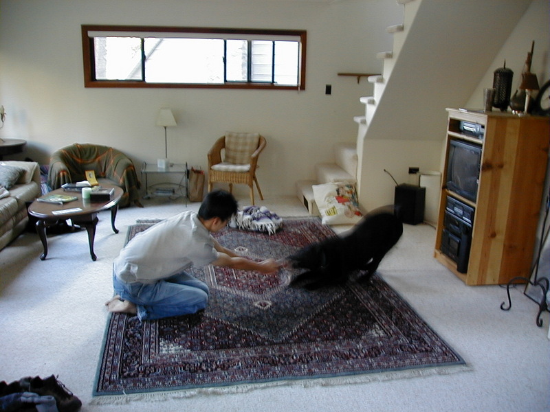 slideshow image