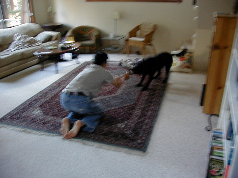 slideshow image