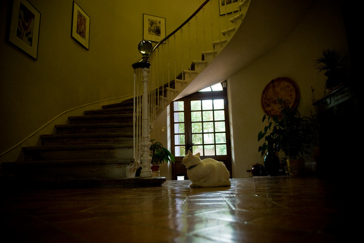 slideshow image