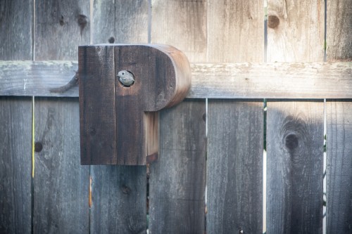 DIY Letter shape birdhouses [U]